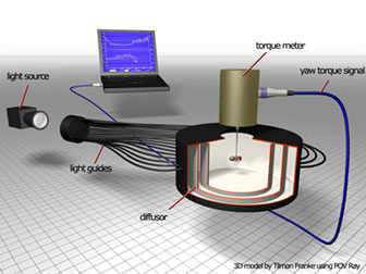 Fruit fly suspended at the torgue meter